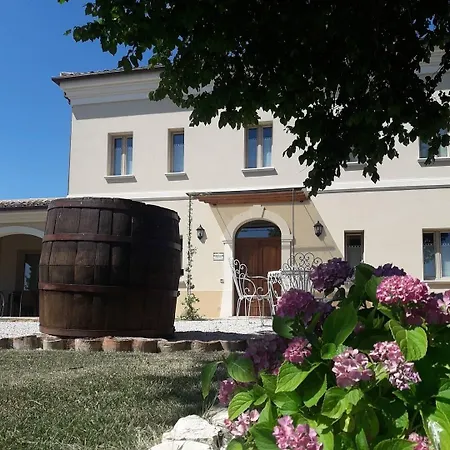 Marietta - Marche Montemaggiore al Metauro